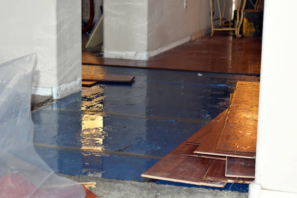 Professional Basement Flood Cleanup technician working in Homeland, GA